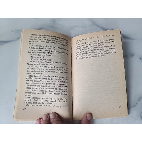 The Summer Of Mrs. MacGregor By Betty Ren Wright Paperback - Picture 7 of 10